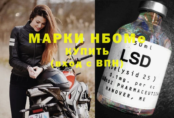 шишки Касимов