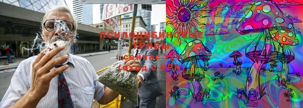 прущая мука Карталы