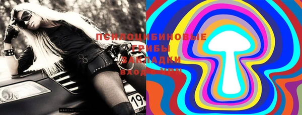 шишки Касимов