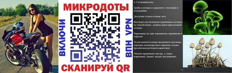 Купить  Балахна  Псилоцибиновые грибы Psilocybine cubensis 