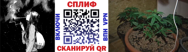 Канабис тримм  Купить закладки  Балахна 